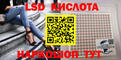 2c-b Кингисепп