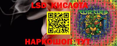 2c-b Кингисепп