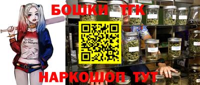 2c-b Кингисепп