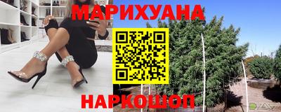 2c-b Кингисепп