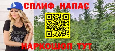 2c-b Кингисепп